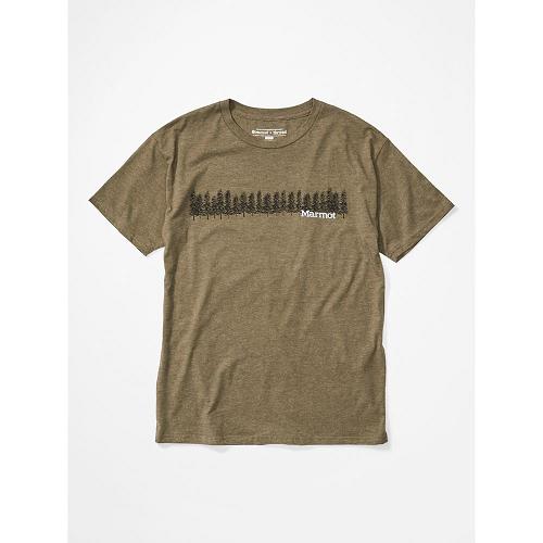 Marmot Forest T-Shirts For Mens Brown RBI387096